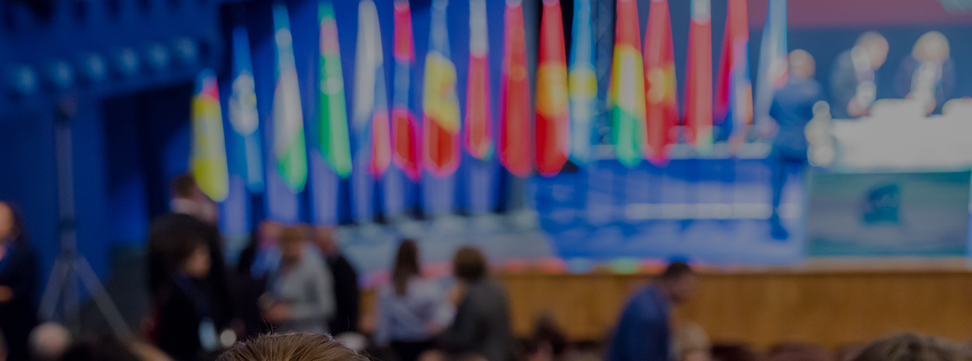 Defocused image. People in the auditorium. International conference. Flags of different countries on stage