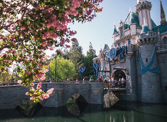 Disney castle and bridge