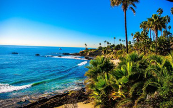 Beach and Ocean